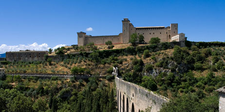 Barone Firenze/Shutterstock.com