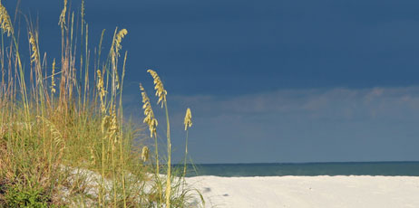 Jeff Kinsey/Shutterstock.com