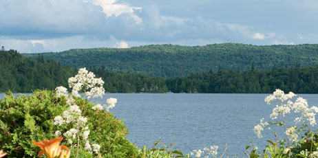 Pierdelune/Shutterstock.com