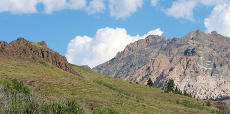 IDAK/Shutterstock.com