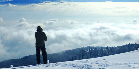 Alistair Scott/Shutterstock.com