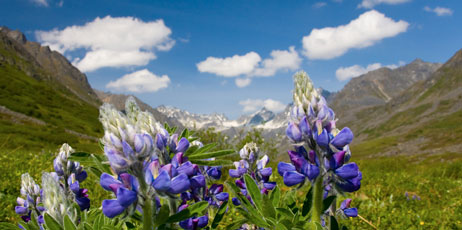 Lucas Payne/Shutterstock.com