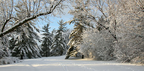 John Czenke/Shutterstock.com