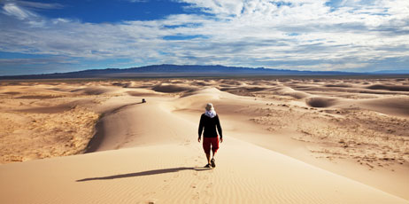 Galyna Andrushko/Shutterstock.com