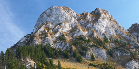 Evgeny Murtola/Shutterstock.com