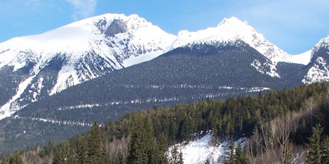 R Perreault/Shutterstock.com