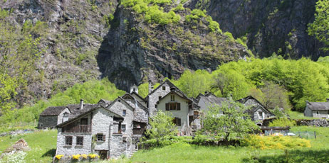 Martin Lehmann/Shutterstock.com