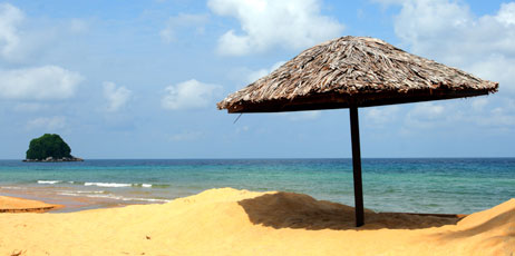 Chee-Onn Leong/Shutterstock.com