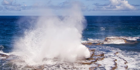 Andy Heyward/Shutterstock.com