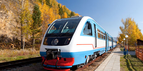 Maxim Petrichuk/Shutterstock.com