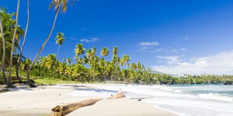 PHB.cz (Richard Semik)/Shutterstock.com