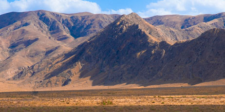 cartela/Shutterstock.com