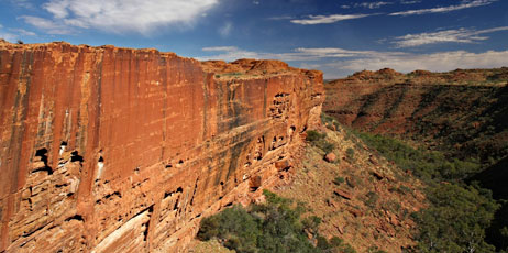 Neale Cousland/Shutterstock.com