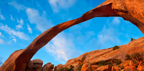 Darren J. Bradley/Shutterstock.com