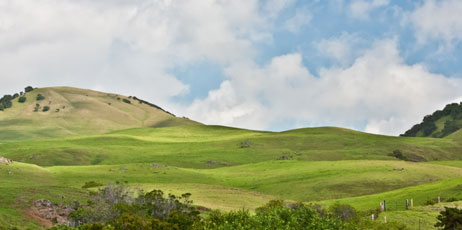 cecoffman/Shutterstock.com