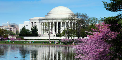 Songquan Deng/Shutterstock.com