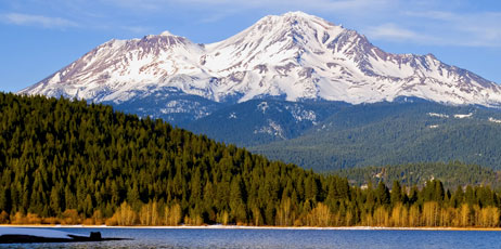Andy Z./Shutterstock.com