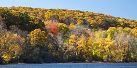Jeff Schultes/Shutterstock.com