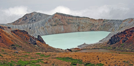 Wildnerdpix/Shutterstock.com