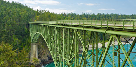 karamysh/Shutterstock.com