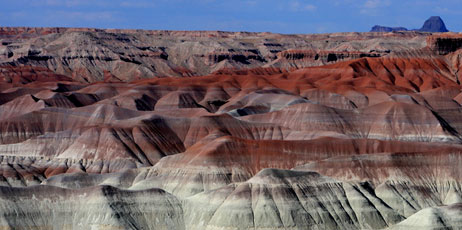 Darlene Cutshall/Shutterstock.com