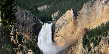 Darlene Cutshall/Shutterstock.com