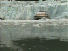 Alaska Glacier Cruise