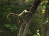 Amazon Eco-Park