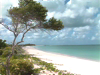 Antigua and Barbuda Beaches