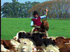 Argentina Gauchos