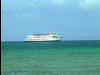 Belize Cruise