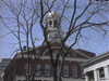 Boston Little Feet