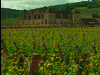 Burgundy Castle Stay