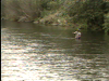 Catskills Flyfishing