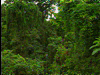 Costa Rica Eco-Travel