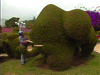 Costa Rica Topiary Gardens