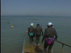 Dead Sea Curative Powers