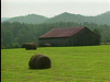 Great Smoky Mountains National Park