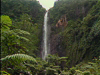 Guadeloupe Nature Preserve