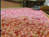 Jelly Belly Factory Tour