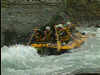 New Zealand Daredevil Fun