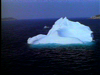 Newfoundland Iceberg Tour