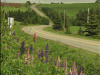 Prince Edward Island