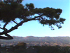 Santa Barbara Overview