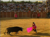 Seville Bullfighting