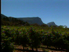 South Africa Wine Country