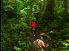 St Kitts Hiking