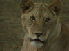 Tanzania Overview