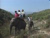 Thailand Elephant Trek