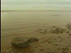 The Bay of Fundy
